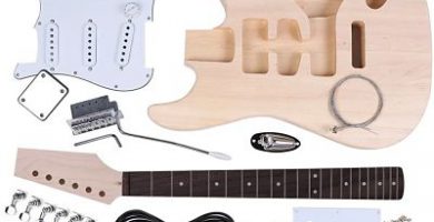 Guitarra El&eacute;ctrica para montar